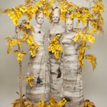 Autumn Birch Tree Trio